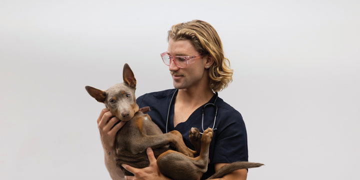 The Truth About Blue Light Lenses: Do You Need Them?