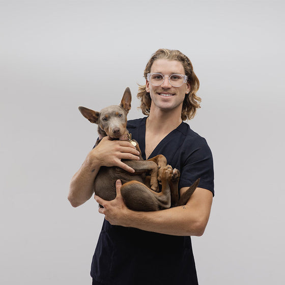 Cruisers Clear Frame Clear Lens Safety Glasses